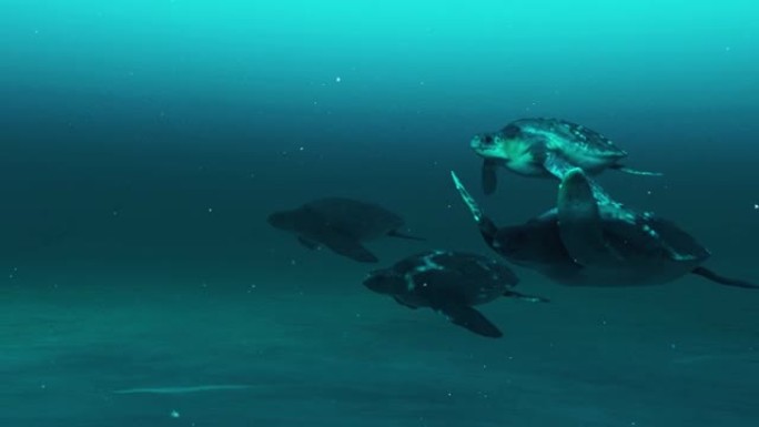 水龟在水下游泳的动画