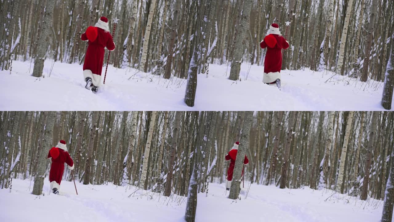 圣诞老人与魔法杖和袋圣诞礼物在雪林。后视图。