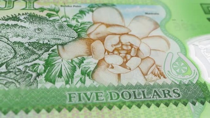 斐济斐济美元5张纸币，五张斐济美元，斐济美元的特写和宏观视图，跟踪和多莉拍摄5张斐济美元纸币观察和储