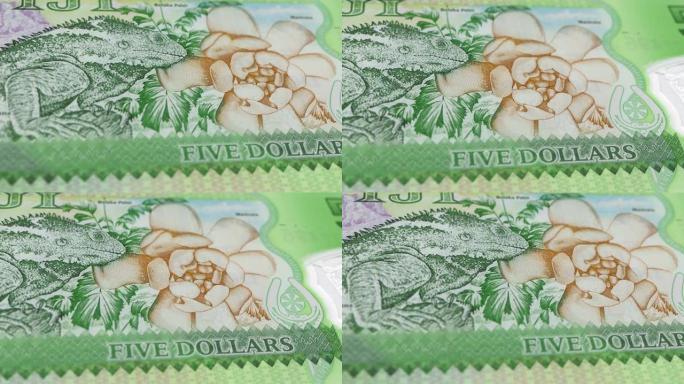 斐济斐济美元5张纸币，五张斐济美元，斐济美元的特写和宏观视图，跟踪和多莉拍摄5张斐济美元纸币观察和储