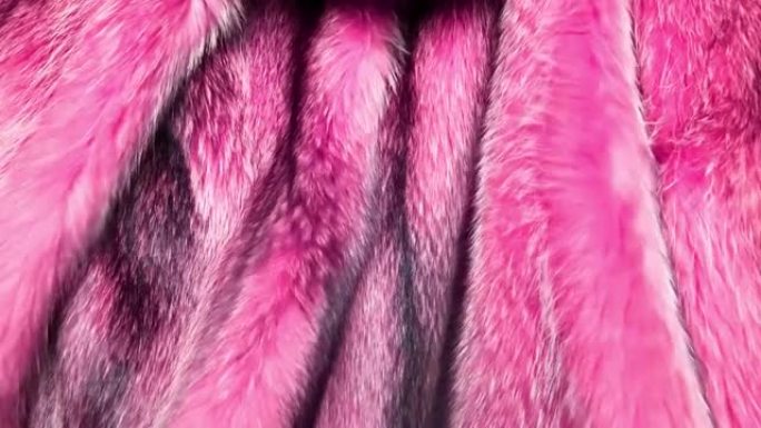 粉色天然毛皮背景纹理，橙色浣熊动物掉落
