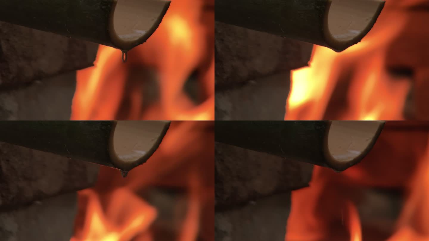 火烤竹子 采竹沥 一滴竹沥滴下