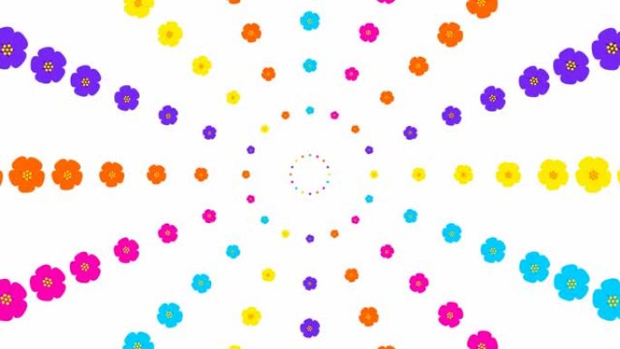 从中心开始动画增加五颜六色的美丽花圈。花卉多色背景。循环视频。春天的概念。矢量插图孤立在白色背景上。