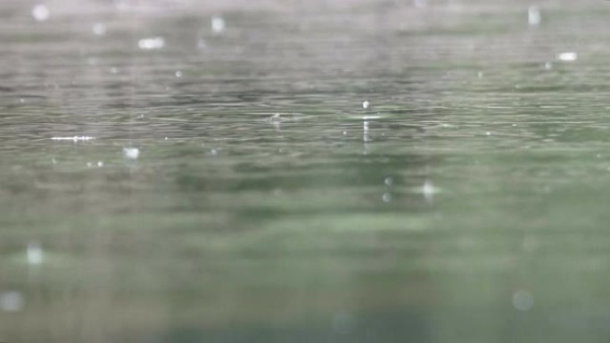 雨滴落在池塘上雨滴落在池塘上