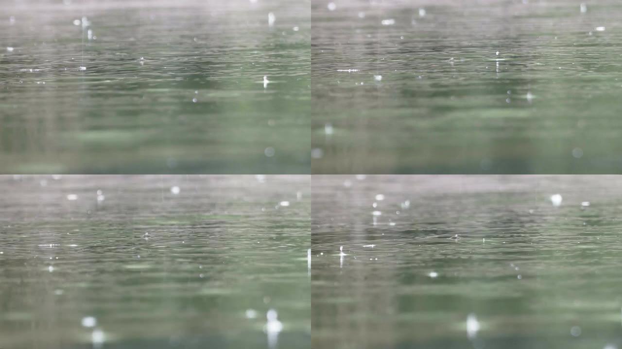 雨滴落在池塘上雨滴落在池塘上