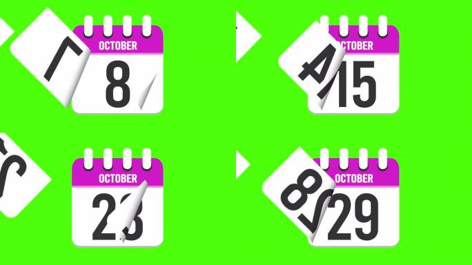10月31日。日历出现，页面下降到10月31日。绿色背景，色度键 (4k循环)