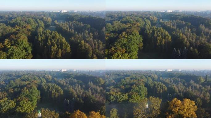 秋天的老公园微雾早晨，鸟瞰图