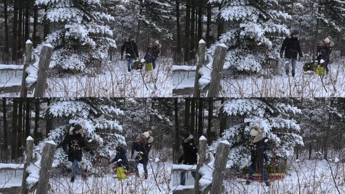 一家人带着两个孩子在下雪的森林里拉着圣诞树