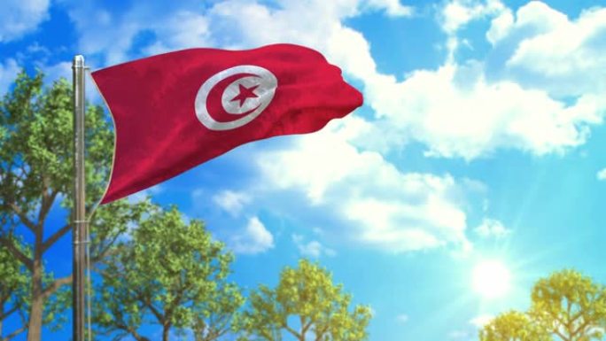 晴天的突尼斯国旗，无碳符号