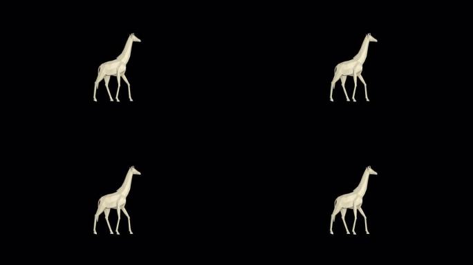 低聚3d长颈鹿动画