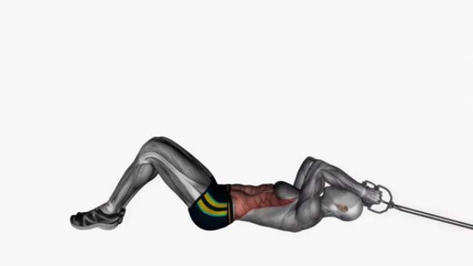 躺卧腹肌阻力带健身锻炼动画男性肌肉突出演示4k分辨率60 fps