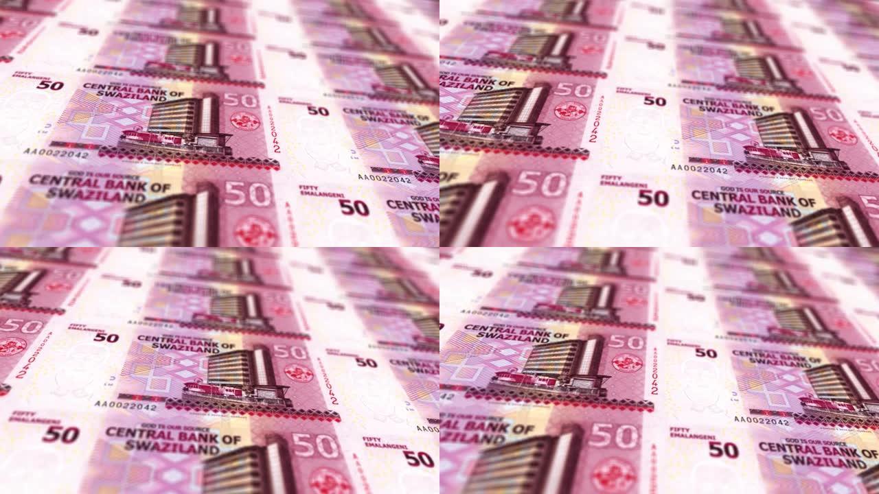 斯威士兰斯瓦蒂尼Emalangeni钞票钞票堆栈背景动画股票视频