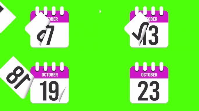 10月23日。日历出现，页面下降到10月23日。绿色背景，色度键 (4k循环)