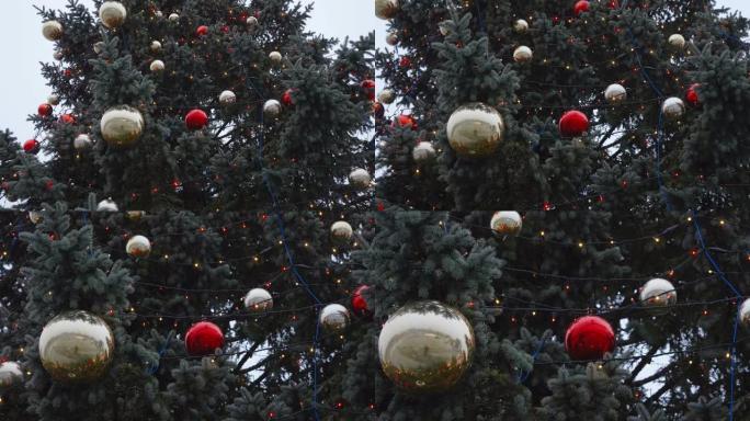 悬挂在爱沙尼亚圣诞树上的金色和红色球