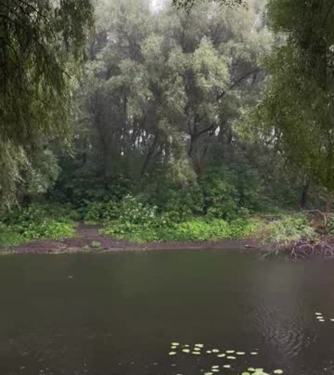 河岸上的夏雨气氛