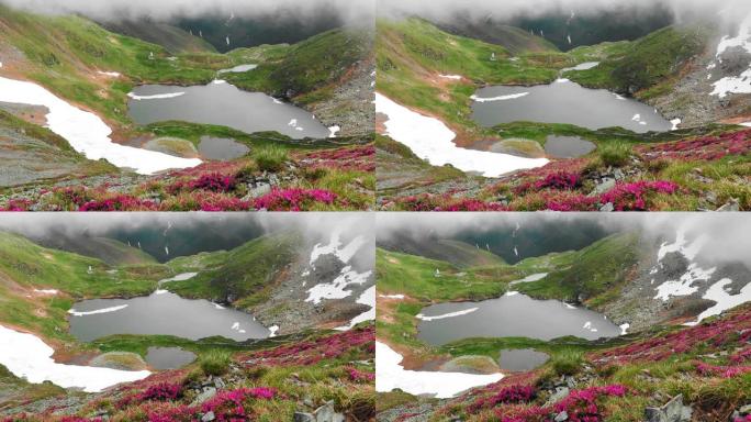 高清山湖周围有粉红色的花朵