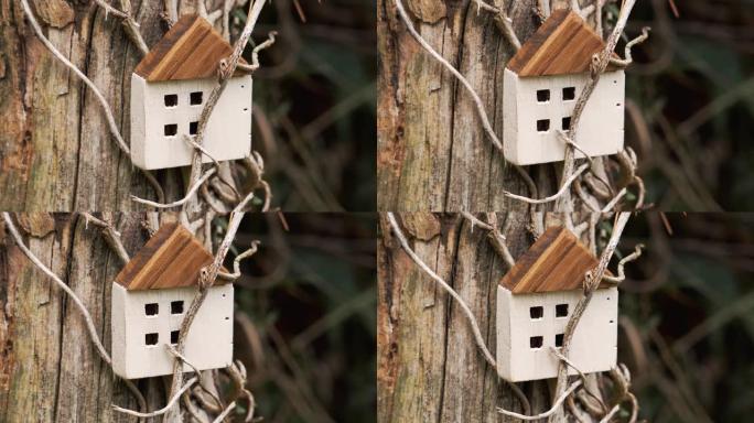 木质开裂损坏的房屋模型纠结在干燥攀岩植物的枯干茎中