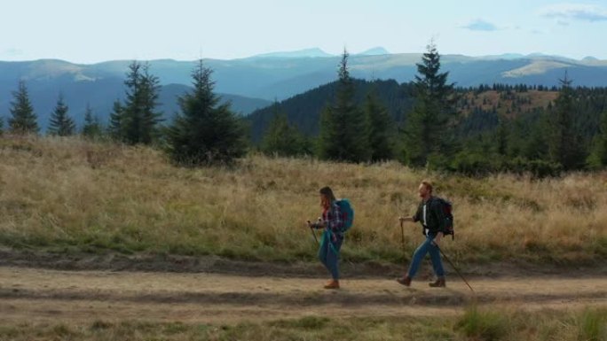 两个人徒步旅行，探索绿色云杉树林中的山地