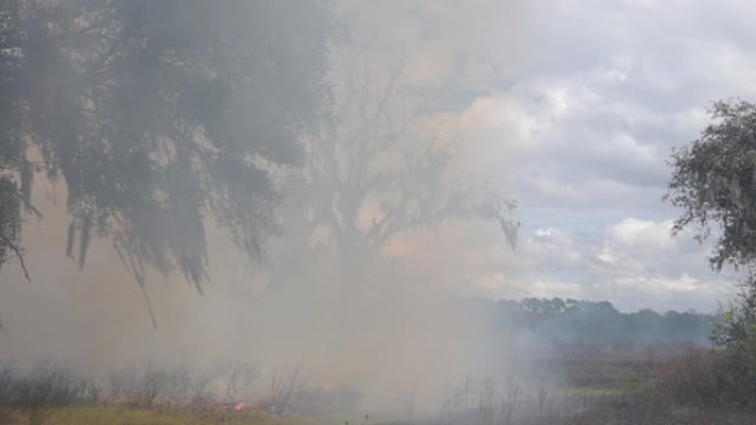 规定的火焰穿过草木区域，夹子末端冒出浓烟