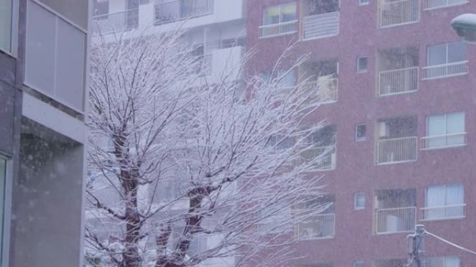 东京市大雪纷飞空镜视频素材屋子房子