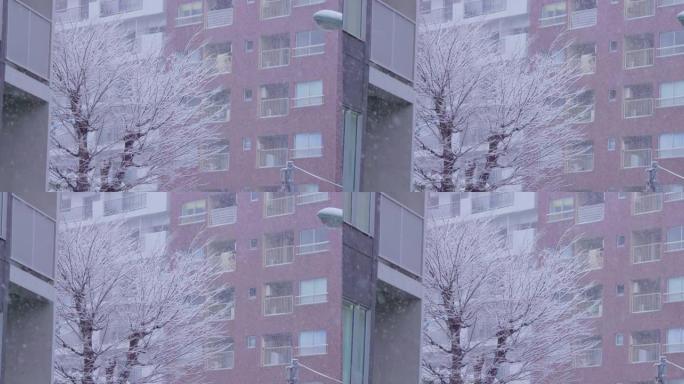 东京市大雪纷飞空镜视频素材屋子房子