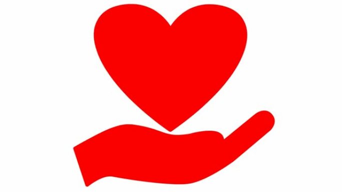 手掌上跳动的红色心脏。循环的心跳视频。慈善、健康、医学的概念。矢量插图孤立在白色背景上。