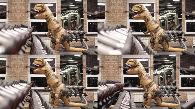 恐龙娃娃与人在健身房里，训练，做二头肌运动。训练期间心情愉快。充气娃娃。史前动物的锻炼训练