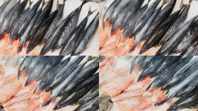 新鲜鳟鱼的特写镜头躺在柜台上的碎冰上，有冷蒸汽，鱼色多汁，鱼片在灯光下闪耀