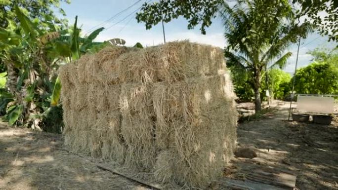 4k，捆好的稻草堆放在花园里，准备运输到饲料。
