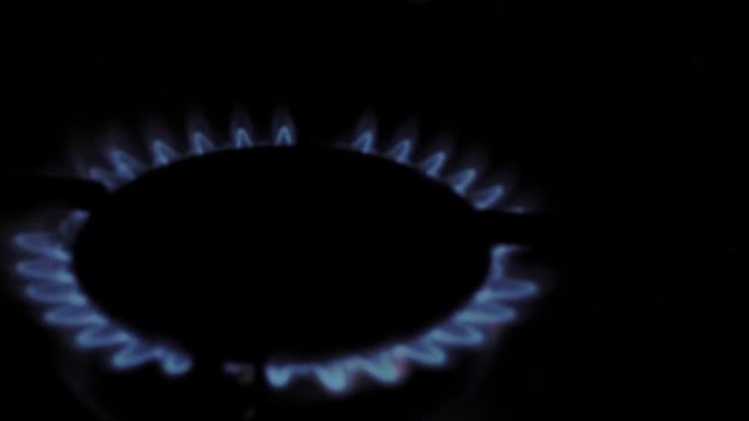 气体燃烧。煤气灶。气体打开，出现蓝色火焰。黑色背景上的煤气炉。厨房燃烧器打开。顶部燃烧器在蓝色火焰中