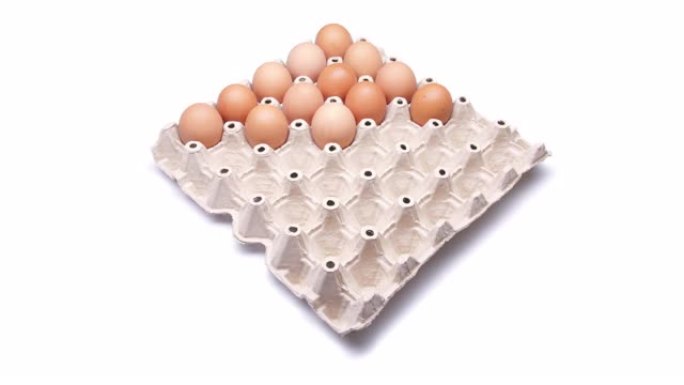 停止鸡蛋在托盘上的运动