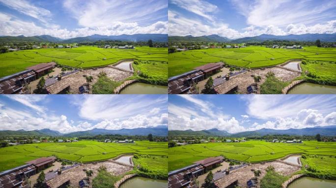 泰国南部Pua稻田绿色稻田的时间流逝