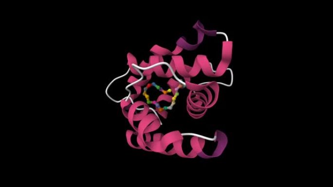 果蝇气味结合蛋白LUSH与引诱性信息素11-顺式-乙酸疫苗基结合