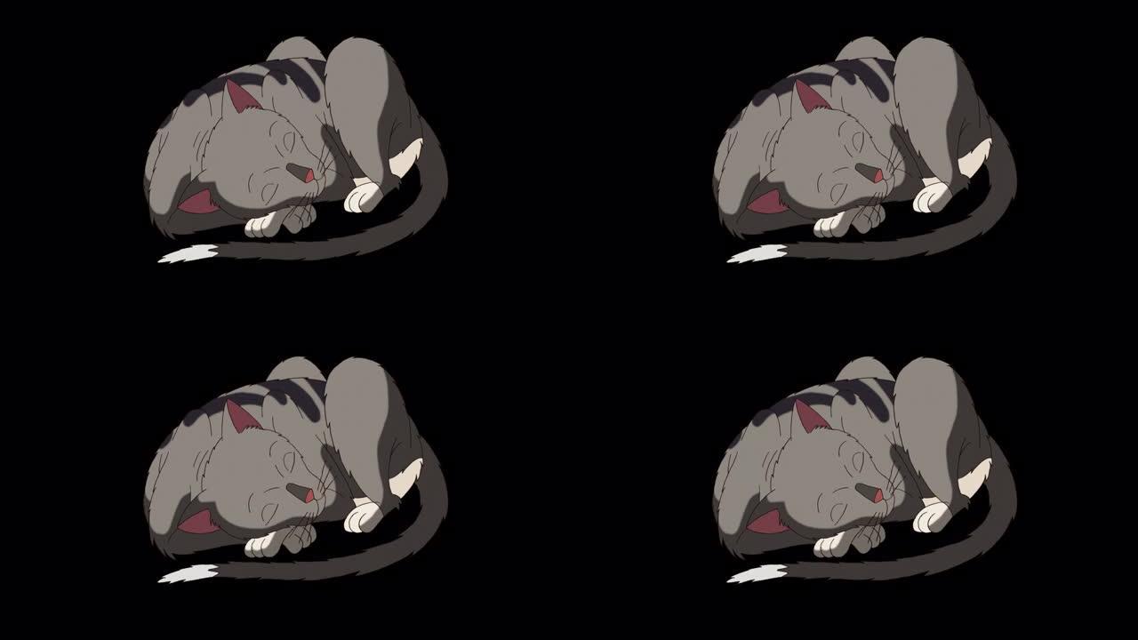 灰色虎斑猫睡眠阿尔法哑光高清