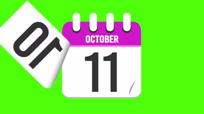 10月19日。日历出现，页面下降到10月19日。绿色背景，色度键 (4k循环)