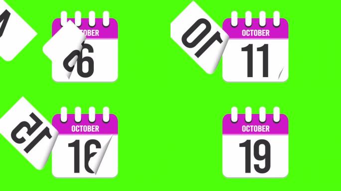 10月19日。日历出现，页面下降到10月19日。绿色背景，色度键 (4k循环)
