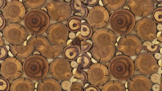 不同大小的圆形木质未上漆实心天然树木切口。木质纹理。装饰面板