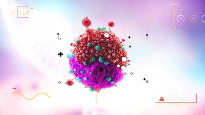 肿瘤微环境概念包括癌细胞、t细胞、纳米颗粒、肿瘤相关成纤维细胞层、肿瘤微环境正常细胞、分子和血管