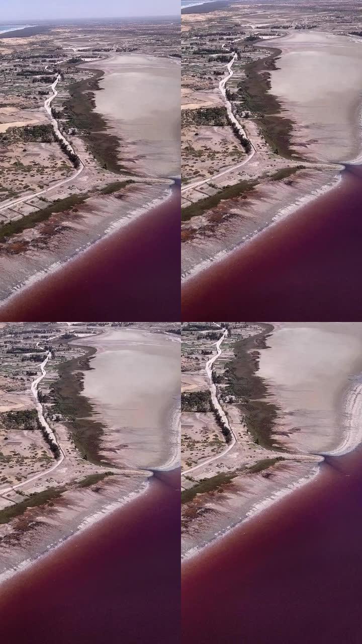 深粉色湖的垂直视频，海岸和海洋沿岸的树木