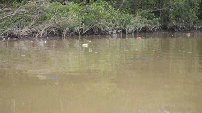 红树林地区河水中的塑料废物