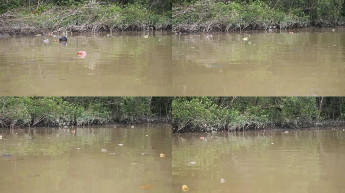 红树林地区河水中的塑料废物