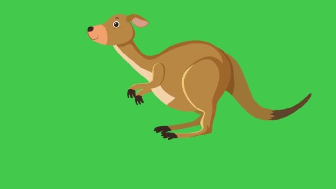 袋鼠在绿色背景上奔跑。