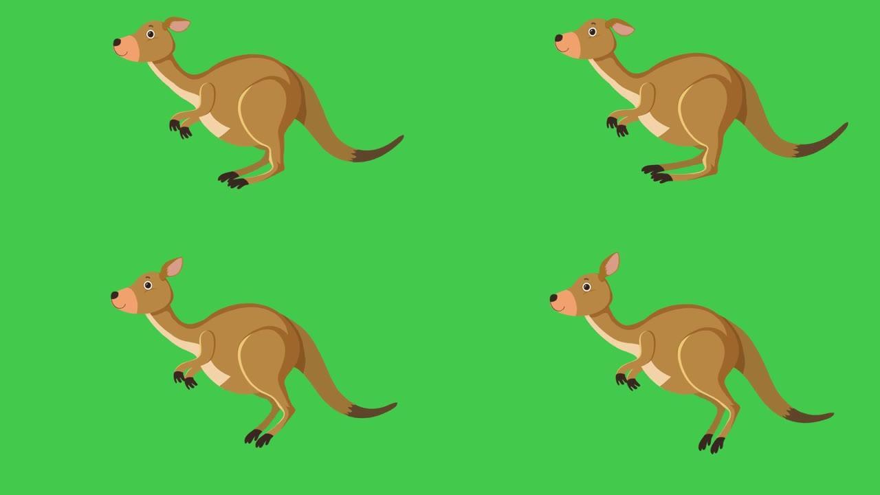袋鼠在绿色背景上奔跑。