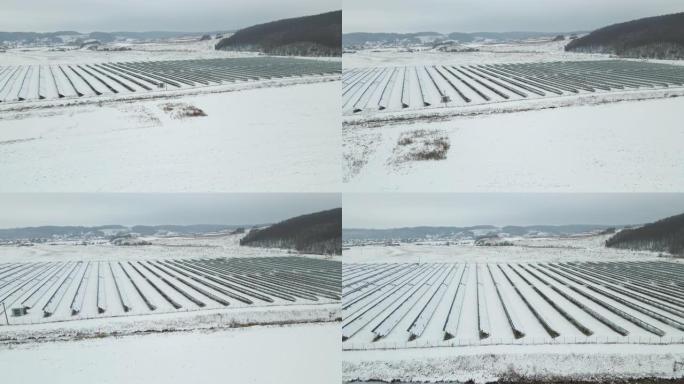 白雪覆盖的可持续发电厂的鸟瞰图，带有许多排的太阳能光伏板，用于产生清洁的电能。冬季可再生电力的低效性