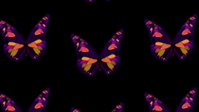 蝴蝶。分形。4K。具有虹彩的蝴蝶的多种效果。动画抽象背景。