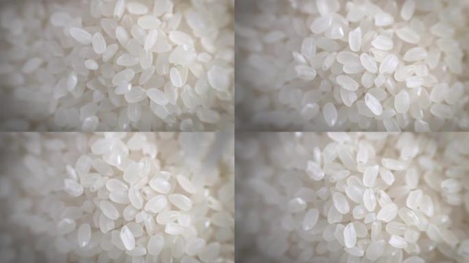 白色大米颗粒糯米