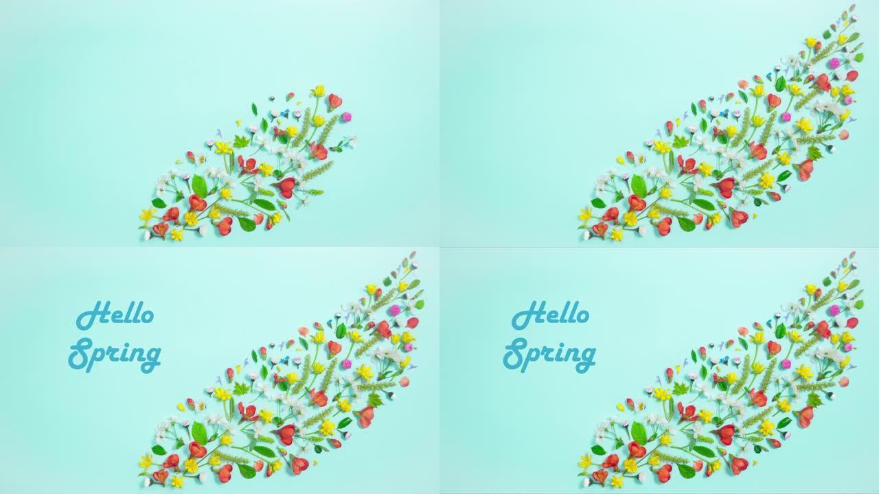 贺卡 “你好春天”。浅蓝色背景上出现了春季天然花朵，芽和幼叶的组成。