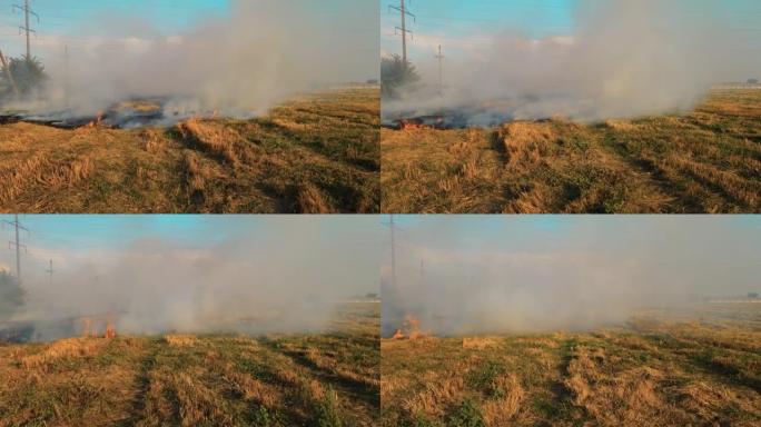 农业领域的大烟云和大火。飞越野火和烟羽。极端高温和气候变化导致的自然灾害