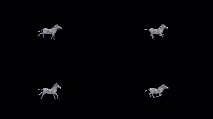 透明阿尔法上的3D斑马运行动画