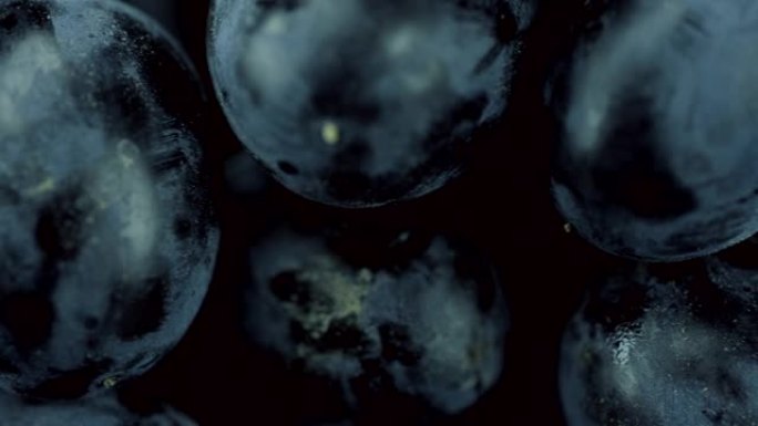 黑葡萄的极端特写位于黑色背景上。摄像机向左侧移动
